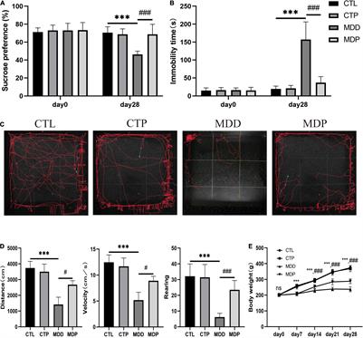 Pinocembrin Decreases Atrial Fibrillation Susceptibility in a Rodent Model of Depression